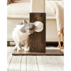 FEANDREA Katzenkratzbaum Kratzsäule 73cm -Catitea Geschaft 011120cba8789320a75b230d3b90b8814d7c764c 1483578 de DE e037a8954e76e323e540d1ec597d6182a987795ehLWNuf