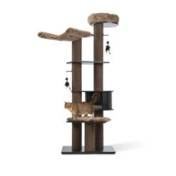 MORE Kratzbaum Harry -Catitea Geschaft 03d4a0e8370f4119639c673d4fe5311683174e29 d6bfc879981313dc7845c0ef9e5085d030ad10fc