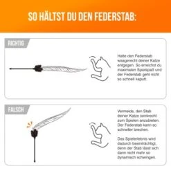 Schlitzohr Federwedel Birdy 3er Pack 15 Schlitzohr Federwedel Birdy 3er Pack -Catitea Geschaft 16072e01b419f04186b3ef116d6cd36b37e5e14d 1659562 de DE 14a63acfadc12c43ff7fa0cac6e3fa04d776aa75sEyDpP