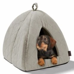 MORE Höhle Diamond -Catitea Geschaft 1901edb64570eb8cb38c0e72458280ff138dcb40 856e9f8ef094dc77c4e2ce9e6d85768bffa721c6