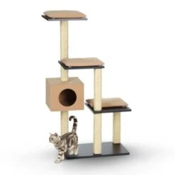 Silvio Design Stufenboy Cosy Anthrazit/ Creme -Catitea Geschaft 1a12cac250517cc4696724859d4efcab491c7f58 23b629546d4a5d13577896765e10905ebd9a37da