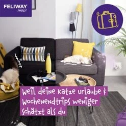 Feliway Help! 7 Tage Start-Set Zur Vorbeugung Von Stress -Catitea Geschaft 1d89a27b4c8b60e0ea97877af16b355ca17c594e 1380136 7