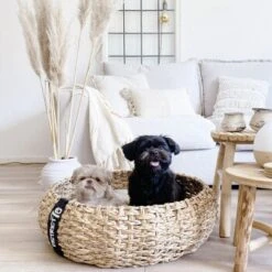 District 70 COCOON Natural M -Catitea Geschaft 1db584284c497361442002ba80ca8dd9597a35b9 1ad367312153dfaf420d5600b6e8e9dac5cec798