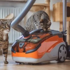 THOMAS AQUA+ Pet & Family 23 THOMAS AQUA+ Pet & Family -Catitea Geschaft 21e8e8518abc51c946ca914e90765288e3a69832 1408595 de DE b89bf30d7c68d7291af3123da80a610e6c34da4duk7V17