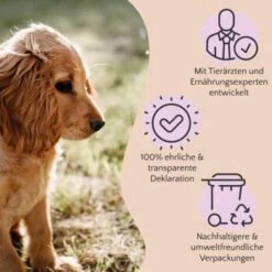 FAVLY Petfood PURE Bites Hirsch 360 G -Catitea Geschaft 236dbc85f5fb75ec5fb4367bde1445e3087ffdcd 1474003 de DE 80624b888460a5c29f043365a19496292e44fd84TlIvR8