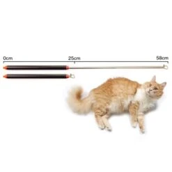 Schlitzohr Stabile Katzenangel Arnold -Catitea Geschaft 2b03aaa8061d454c3b132f3d29075b579f022315 1484671 de DE 4db6a969e0582cf4b987acff93cb66c6c6149da6OAB1hx