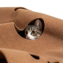 Canadian Cat Company Spielteppich Für Katzen Braun -Catitea Geschaft 2d410486173eb6739126d1af73ad3230c308a43d 1394213 de DE 2f11fbac0571dcc5ff170aac428c7150347b9b8ccw1yKZ