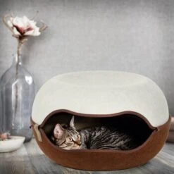 Canadian Cat Company Filz Katzennest 2.0 Weiß -Catitea Geschaft 2d709df44822ed1c554e77257ea4f2826b7f6ee6 1412670 de DE f4bc2f42c404e1ae32cb86346c8e995f0178b889j3OAow