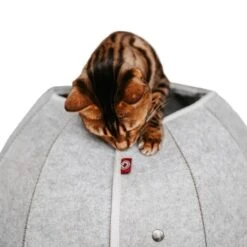 Canadian Cat Company Katzenhöhle In Kugelform S 13 Canadian Cat Company Katzenhöhle In Kugelform S -Catitea Geschaft 2ecb868df2d3b2cf90a9092caebd3c19caa20008 1347679 de DE 9620a1f8944edc55aec2b992d490644e015c022abD41s1