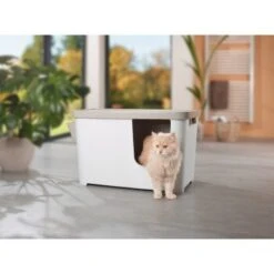 MORE FOR Katzentoilette XXL Titan -Catitea Geschaft 331a65ecbdbda6a54304894f23caf93293414f9a 41a7dcb3b92b8da7531785b268f381c1b25bbf04