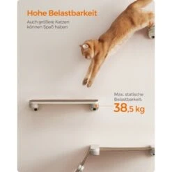 FEANDREA Clickat Katzenbrett Für Die Wand -Catitea Geschaft 338ade66aef20441d84c6879cbb7cdd9f229234a 1681427 de DE 49f3284dc1e7752ec473d61a07cc5870214b5201yzDhq7