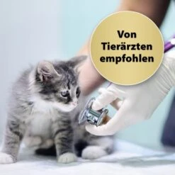 Felisept Home Comfort Set Diffusor + Flakon 45ml 7 Felisept Home Comfort Set Diffusor + Flakon 45ml -Catitea Geschaft 35507d0f5a85cfd5ea3b7e2e39231b06ca113304 1667495 1