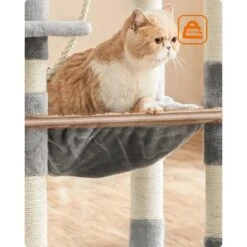 FEANDREA Kratzbaum 143cm Rauchgrau Hellgrau 15 FEANDREA Kratzbaum 143cm Rauchgrau Hellgrau -Catitea Geschaft 37be2f2514570ac16abd583e226c37e3942fb95e 1483593 de DE a6645c1e24d592fa2f7e2898455d81c2be2800bf3QlXOx