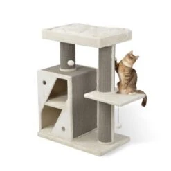 MORE Kratzbaum Edward -Catitea Geschaft 3dbf59e3cce477fabe3045964c3b31542fd34f93 a301cd96a03fc3e3e31f0cea97769d1447bd4627