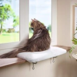 AniOne Fensterliegeplatz -Catitea Geschaft 3ed1f86bcd38eea7f6bb469869d0ceabbf14e73e 08d7fb7b3ea8513f40155b969787349e3e9059aa