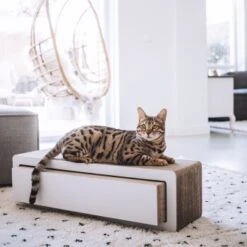 District 70 STRETCH 10 District 70 STRETCH -Catitea Geschaft 40ba15f27d0de5b2ed79947a776f717623121c9e f8f928c41bc77204b8201f53652812c0de3e651b