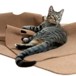 Canadian Cat Company Spielteppich Für Katzen Braun -Catitea Geschaft 446d45749f5e58cb5a7dbc00eb3558dbe40784fe 1394213 de DE 80770b9625226d955903498b97e7018485822aeeDB3L2u