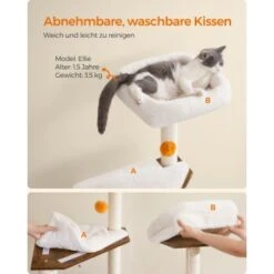 FEANDREA Kratzbaum Mit Croomer Braun 15 FEANDREA Kratzbaum Mit Croomer Braun -Catitea Geschaft 47d0b3925cfaeb666d35f7ee3984913541c8c087 1651635 de DE 88f22557a14da5cca647f95ef4949dafa54896c7B6UNIS