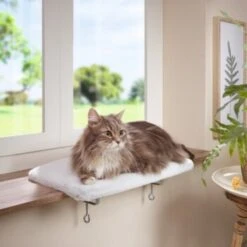 AniOne Fensterliegeplatz -Catitea Geschaft 48b4c875f72788d493de559eab0e5688d72d5fb7 b558c550dc7f6e4c2f13fbb0d43c30b225535e90