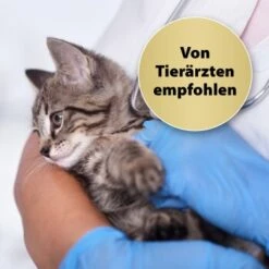 Felisept Home Comfort Beruhigungshalsband Für Katzen -Catitea Geschaft 49f63f3eec6617dbc795d98ab15477ddca010d3a 1238279 de DE Felisept 2