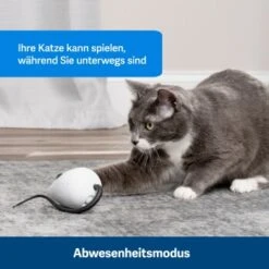 PetSafe Automatisches Katzenspielzeug RoloRat 9 PetSafe Automatisches Katzenspielzeug RoloRat -Catitea Geschaft 4e48313abe110e77b48862456b3054c8cbc622dd 1351522 de DE cc35ab35cec54291341f643ff079f60e72f56895BvuHXl