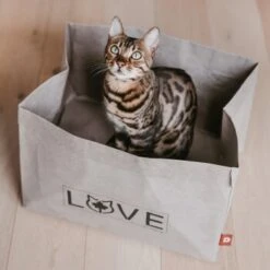 Canadian Cat Company Katzenbett Winnipeg 16 Canadian Cat Company Katzenbett Winnipeg -Catitea Geschaft 4f163c23f3c00759be25633fb22100eb50b10eed 1360995 de DE e27163ea0c21fd571c9e22268b69a4d1b68affe5UBt2yy