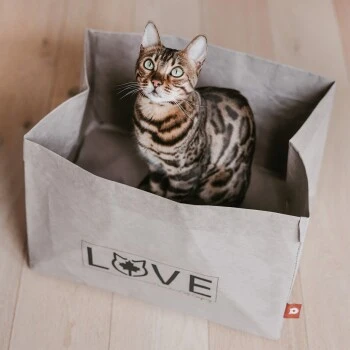 Canadian Cat Company Katzenbett Winnipeg 9 Canadian Cat Company Katzenbett Winnipeg – Bild 7