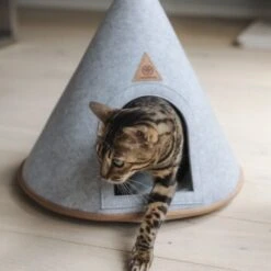 Canadian Cat Company Katzenzelt Cone -Catitea Geschaft 5109d27ef761061b6b743871ab0498da3478f504 1394210 de DE f112ffaf078c6f8bf03764511a0d90aab2c21021HdDAgd