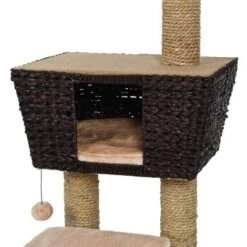 Europet Bernina Europet Kratzbaum Grenada -Catitea Geschaft 57b4fe1263668d3b28bd8ad1ba159d2b5d8f74cd d36d01eb9524ab44314e624eaa1a446e2cba33a6