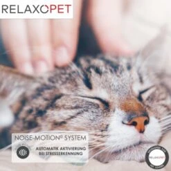 RelaxoPet PRO Entspannungs-Trainer KATZE 13 RelaxoPet PRO Entspannungs-Trainer KATZE -Catitea Geschaft 5e807080a677a4a90a950f7dacb700870a866642 1315706 de DE e6dc4268241d05a0f2883b3084c91b24fed0467fmgVHw7