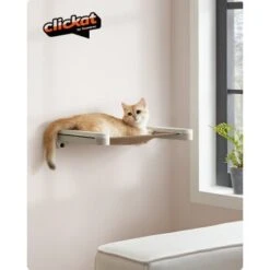 FEANDREA Clickat Katzenmöbel 3er Set, Für Die Wand 14 FEANDREA Clickat Katzenmöbel 3er Set, Für Die Wand -Catitea Geschaft 60f69f4a642f0d59e84f4714b442d728b55f724b 1681459 de DE a39910e1400039cebe0247b4991dedcb1a62d9ddWMEogu