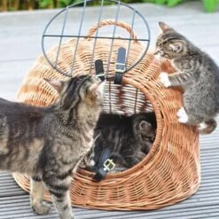 Aumüller Rattanhöhle Gesottene Weide 8 Aumüller Rattanhöhle Gesottene Weide -Catitea Geschaft 644da56b8da52f185185b101fb3460690748ee17 ed38553d0e52453b951e62f08b371eb8a64cf3ed