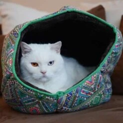 Canadian Cat Company Katzentunnel COSMO M 12 Canadian Cat Company Katzentunnel COSMO M -Catitea Geschaft 67f448259cbca2b76f0f056d6321e3f462cbbfb2 1412665 de DE 5bb2b25340ddb934c05b11da4b3410ce26fcf1f8fEc8B6