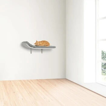 AniOne Wandliegeplatz Outlook 4 AniOne Wandliegeplatz Outlook – Bild 2