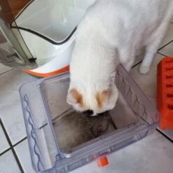 THOMAS Staubsauger -Catitea Geschaft 6a70c632a0bab42059bec4b43d139a5d2e40f9ae 1406733 de DE e7e44b3ec14bf6f4d989c5887e4e07bdd5895c48xakBwm