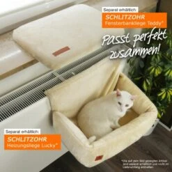 Schlitzohr Ersatzbezug Fensterbankliege 15 Schlitzohr Ersatzbezug Fensterbankliege -Catitea Geschaft 6a9ed296d9ab845a3e26c8c152c9cb49754a74d5 1484678 de DE 8cd7bef9b12008635ba60f2cfbe2e5c9414bbe44LEVwld