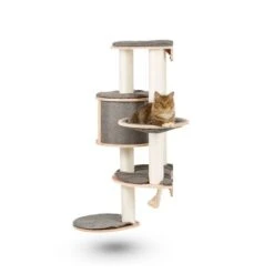 Kerbl Wandkratzbaum Dolomit Tofana Pro -Catitea Geschaft 6ae62be756bc7ec8e74420006c284e5802eef044 34e007e7ac4b4414181b3e18212b06b315186d2c