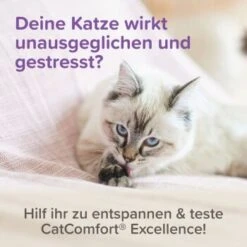 Beaphar CatComfort Excellence Starter-Kit 48ml 17 Beaphar CatComfort Excellence Starter-Kit 48ml -Catitea Geschaft 6fdca6f354e1543df4c6d643f7d274cd6651ccda 1416646 1 2