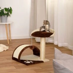 Lionto Kratzbaum Höhe 43 Cm Braun/ Beige -Catitea Geschaft 731e3c33fcb667d66ff727bb63814b5ce888c519 1651773 de DE 0ba297da15fdf41ea5a8788c803a11c8eef1c103muQtWx