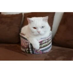 Canadian Cat Company Katzenschiff MAJA 11 Canadian Cat Company Katzenschiff MAJA -Catitea Geschaft 766deb875332e5f5e0863d1a2d85001bb4ef9b90 1412668 de DE bd0dc038d80f4f0d2f7a8d881a21a125e897f0d3Dfo1wn