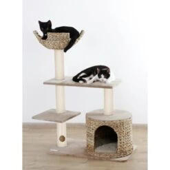 Kerbl Kratzbaum Banana Leaf Jade 7 Kerbl Kratzbaum Banana Leaf Jade -Catitea Geschaft 76da0e2291b796ed5e6d437459db13ca9d50faaa 9bb330ca7b7ab6e046ff929a6710ba8bd89b78aa