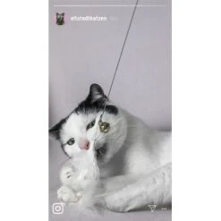 Kater Kasimir Premium Katzenangel Mit 4 Handgemachten Anhängern Aus Naturmaterial -Catitea Geschaft 770b4a4773ed49d435287f5ac0f03f94a117604e 1408150 de DE d77919138410a09ab67416f25ec15e6664e9d2ac4JZFQJ