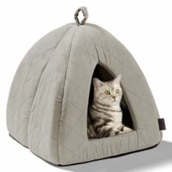 MORE Höhle Diamond -Catitea Geschaft 7939acaef98cdb9195a642e4ff359691740fc0e9 84dbe0d60d2ca1e5170055a2164cc0d47aaedf72