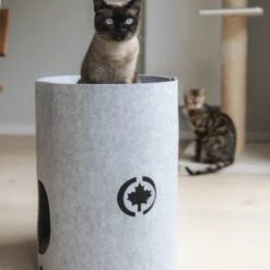 Canadian Cat Company Filzbett Owen-Tower 11 Canadian Cat Company Filzbett Owen-Tower -Catitea Geschaft 7de15b7ab3d0a3da50a54b91f1a6b746b12be302 1394209 de DE 768a45a9be27cfd0fb27e1bf0942b4e67e500c7ee16ity