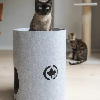 Canadian Cat Company Filzbett Owen-Tower 4 Canadian Cat Company Filzbett Owen-Tower – Bild 3