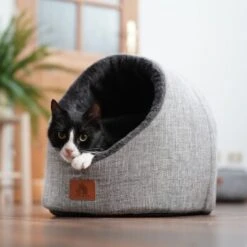 Schlitzohr Katzenhöhle Oskar Grau -Catitea Geschaft 7e08098c1f009a021286640b529dad02dd78a02c 1484676 de DE 73b8d6408af403deaa7704fa380087bf05bf8303cpcxwh