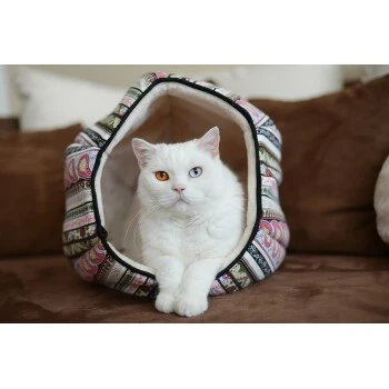 Canadian Cat Company Katzentunnel LUNA M 4 Canadian Cat Company Katzentunnel LUNA M – Bild 2