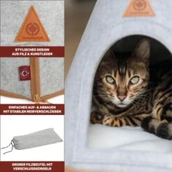 Canadian Cat Company Katzenzelt Cone -Catitea Geschaft 809a3c44a93f6813e3f594a392c884994f2cb8be 1394210 de DE c6578ffbb5eb34e2b0106dd76bcafeaede82606a8Hawov