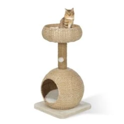 AniOne Kratzbaum Anzo 9 AniOne Kratzbaum Anzo -Catitea Geschaft 8251ae4516bf903fd0d3f9c45aa1bbabf8946a79 e7ecb07cf2644d3862a8042d79dc2f0a59c03802