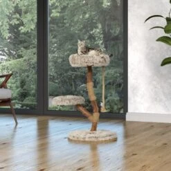 Ausgewählte Produkte -Catitea Geschaft 87f0327374e5809e6ea9f0a09dbc2d6a0f7e7402 1407289 Milieu MF K